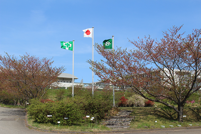 18グラウンド入口