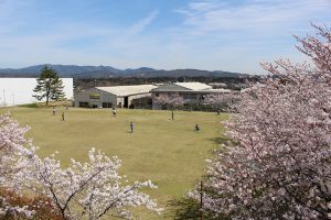 19天然芝のグラウンド